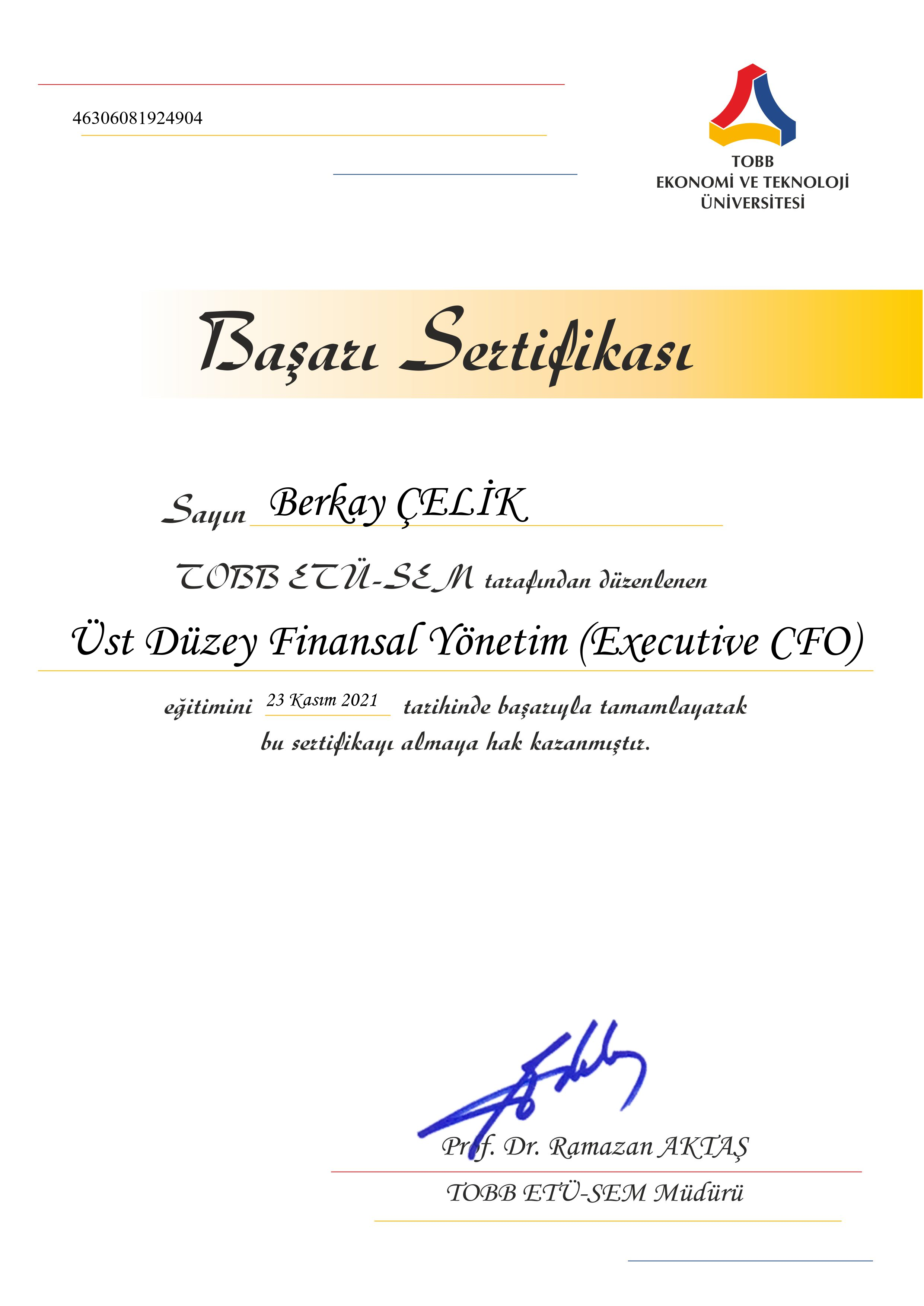 ust-duzey-finansal-yonetim-sertifika
